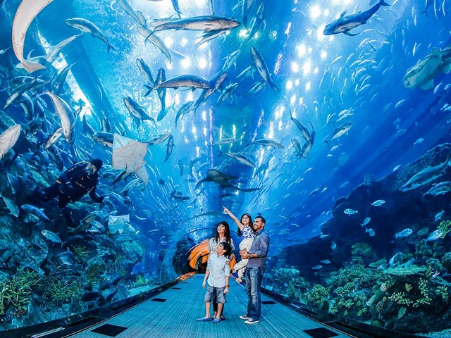 Dubai Aquarium and Underwater Zoo